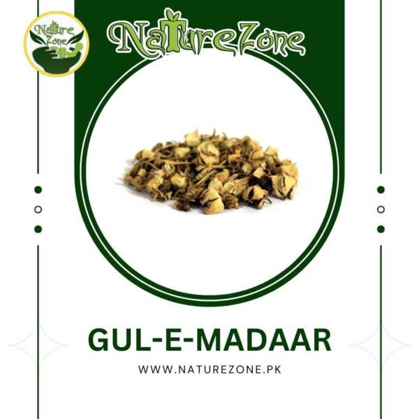 Crown Flower,Gul-e-Madaar Price in Pakistan،گلِ مدار