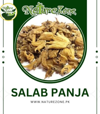 Salab Panja Price in Pakistan | ثعلب پنجہ