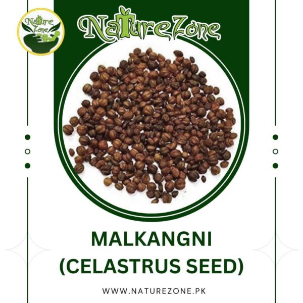 Celastrus Seed, Malkangni Seed, تخمِ مالکنگنی