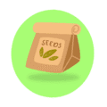 Buy organic seeds online in Pakistan with natural and organic seed options