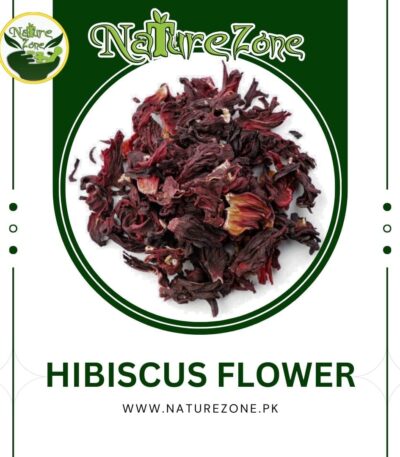 Hibiscus Flower in Pakistan