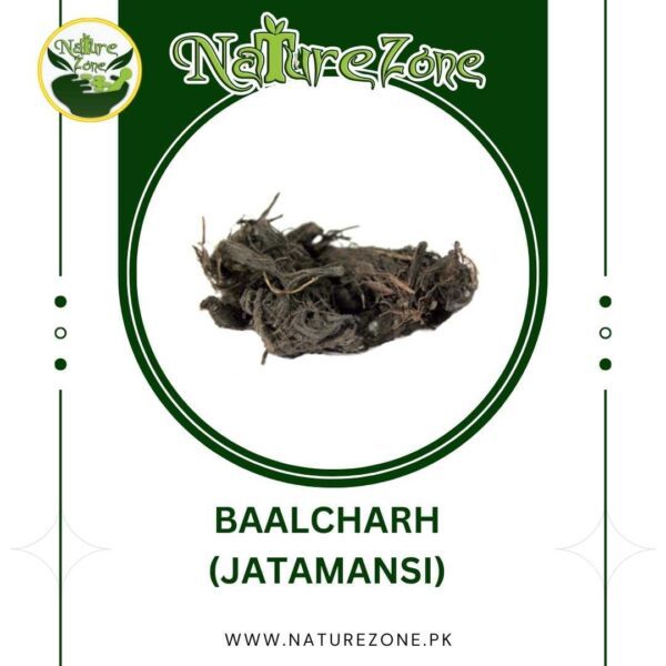 Buy Jatamansi(بالچھڑ)/Baalchar in Pakistan