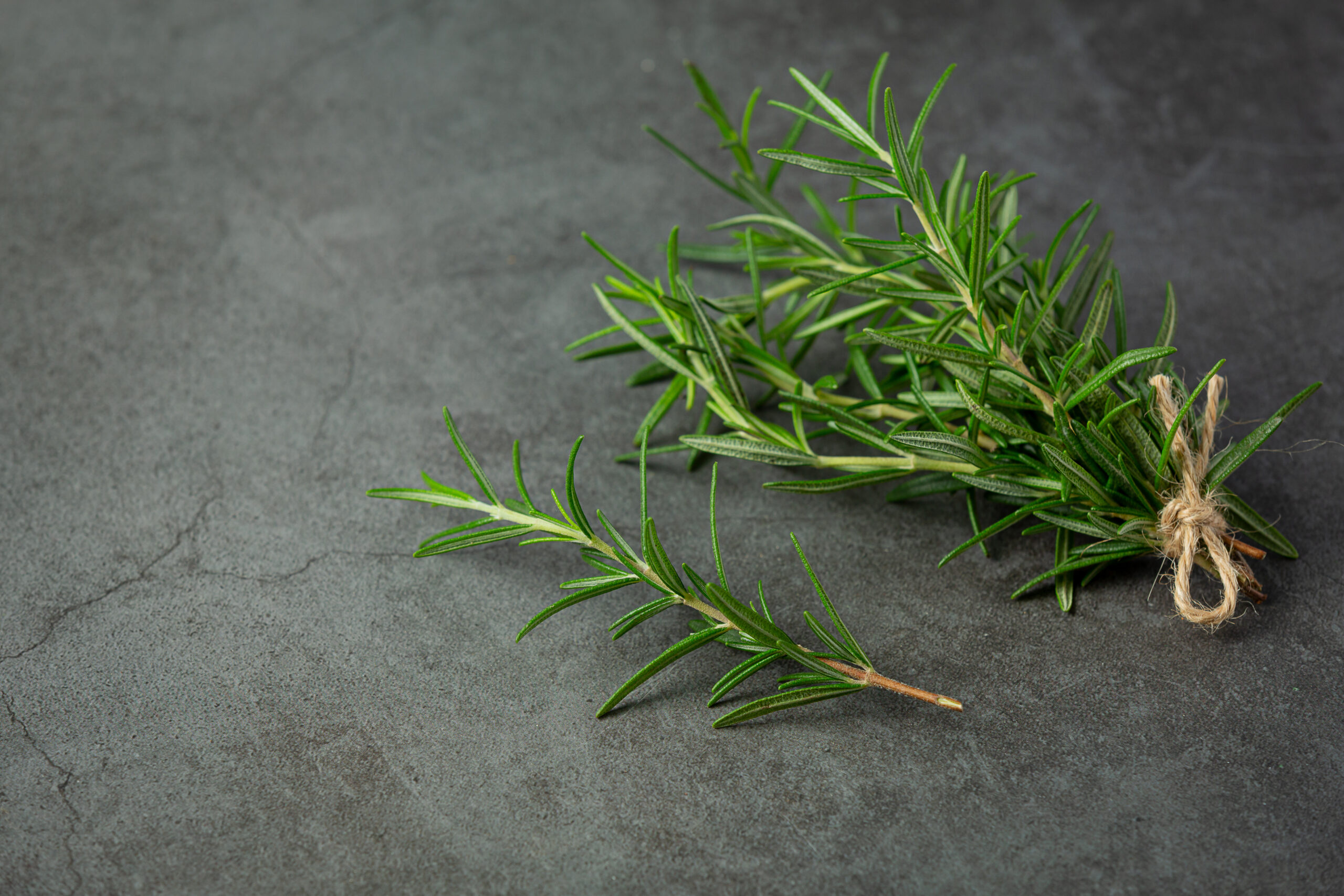 Rosemary Leaves in Pakistan 1